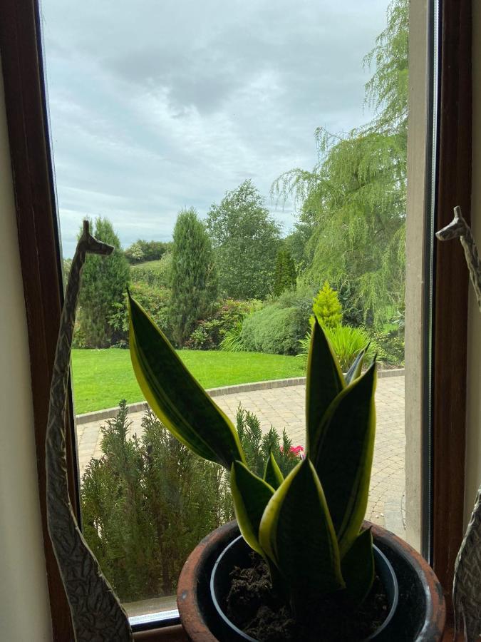 Corness House B&B Monaghan Bagian luar foto